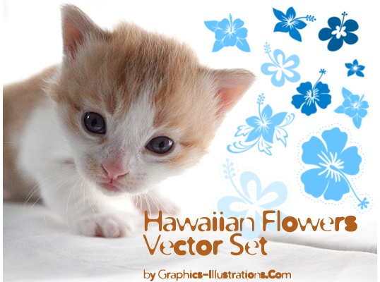 Hawaiian Flowers Vector Set November 8 2010 by bsilvia Shop botanic 