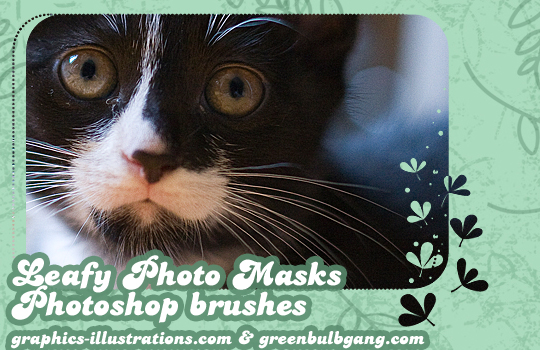 Leafy Photo Masks Photoshop Brushes and Digital Stamps